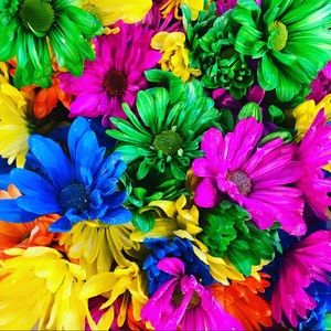 Meet your Posher, Nichole